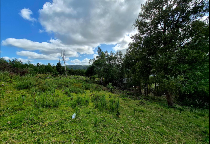 0 Bedroom Property for Sale in Knysna Heights Western Cape